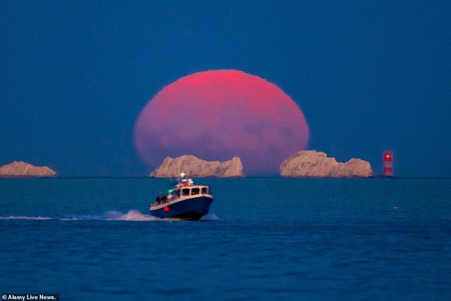 Cùng ngắm siêu trăng cá tầm tỏa sáng khắp thế giới - Ảnh 3.